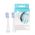 Edel+White Whitening Brush for Sonica Generation 8